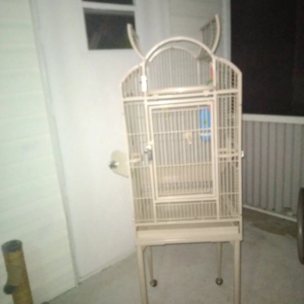 Bird cage home